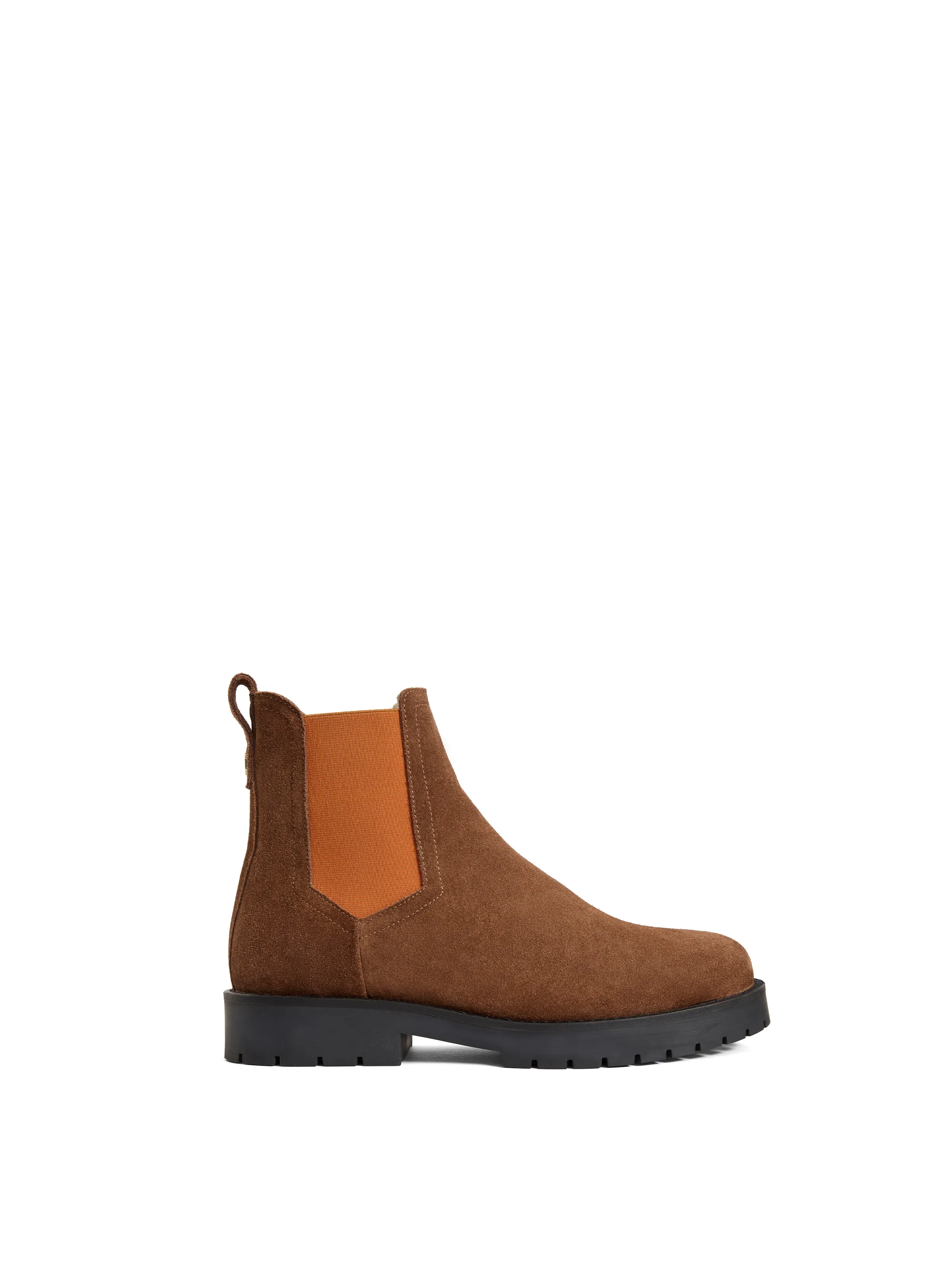 Newcomers Favourites